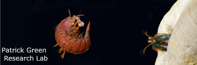 Photo from Patrick Green research website
