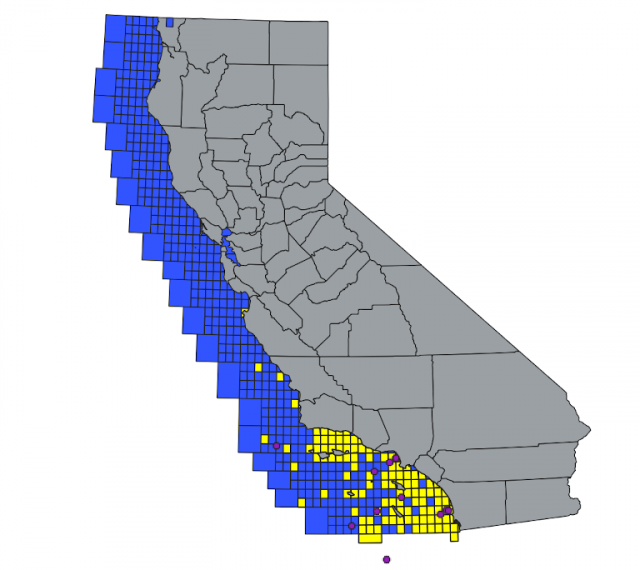 California Yellowtail 2016-2019