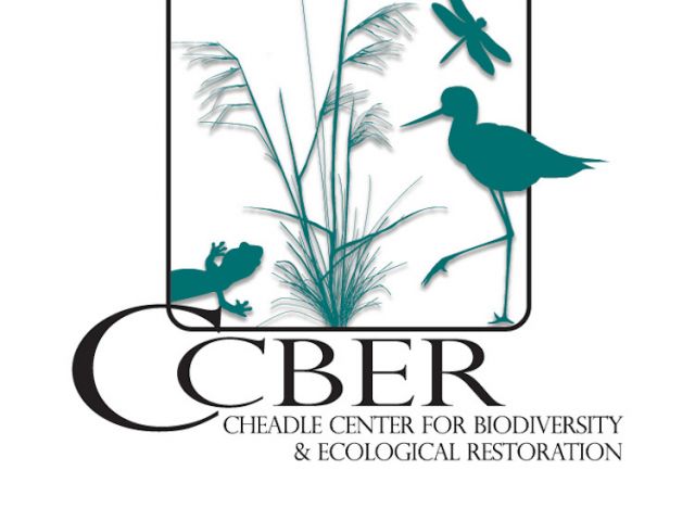CCBER