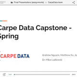 CarpeData Video Presentation