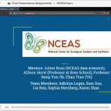 NCEAS Video Presentation